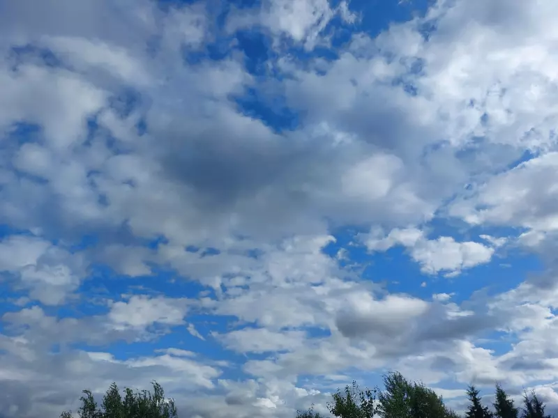 Такое разное небо