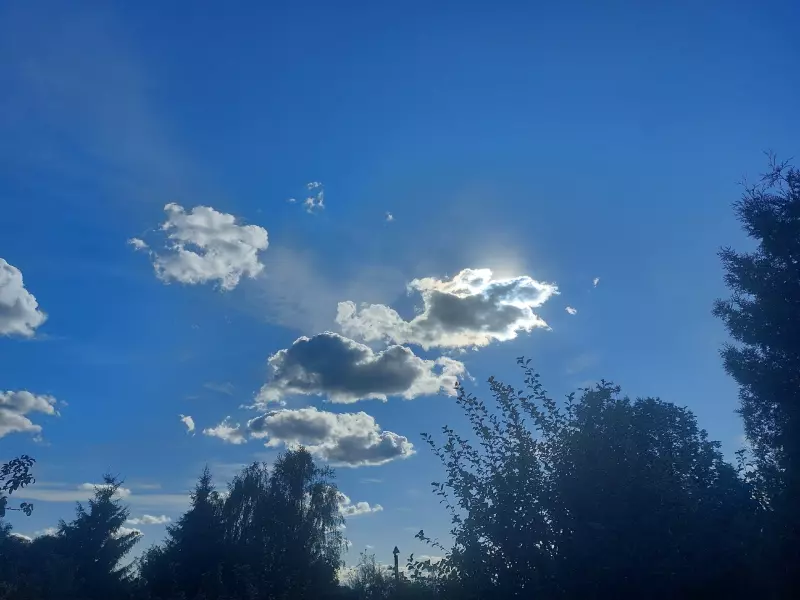 Такое разное небо