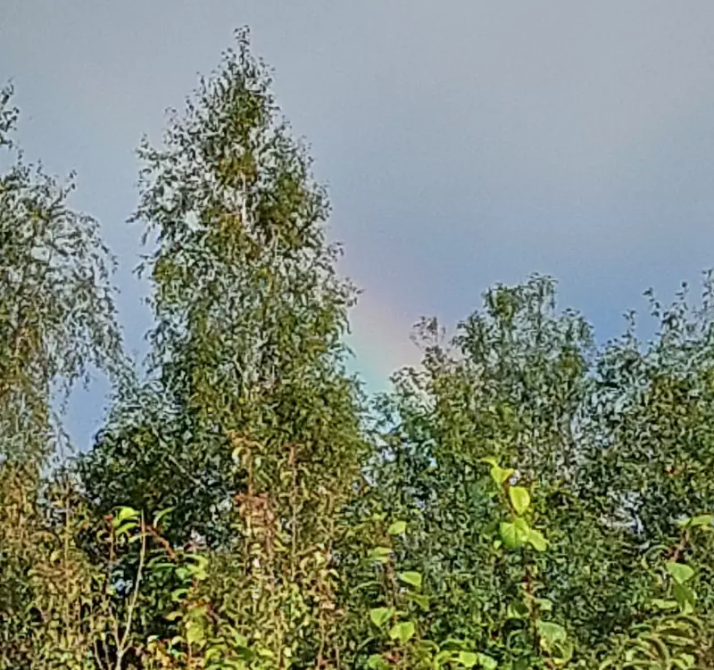 Такое разное небо