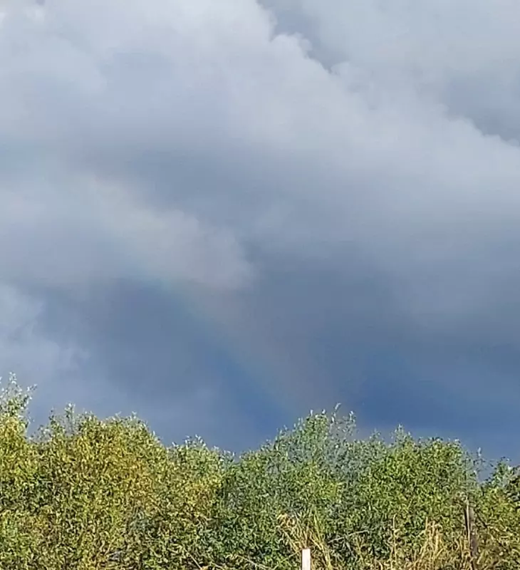 Такое разное небо