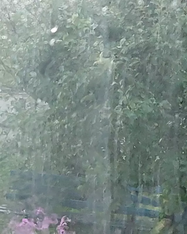 Такое разное небо