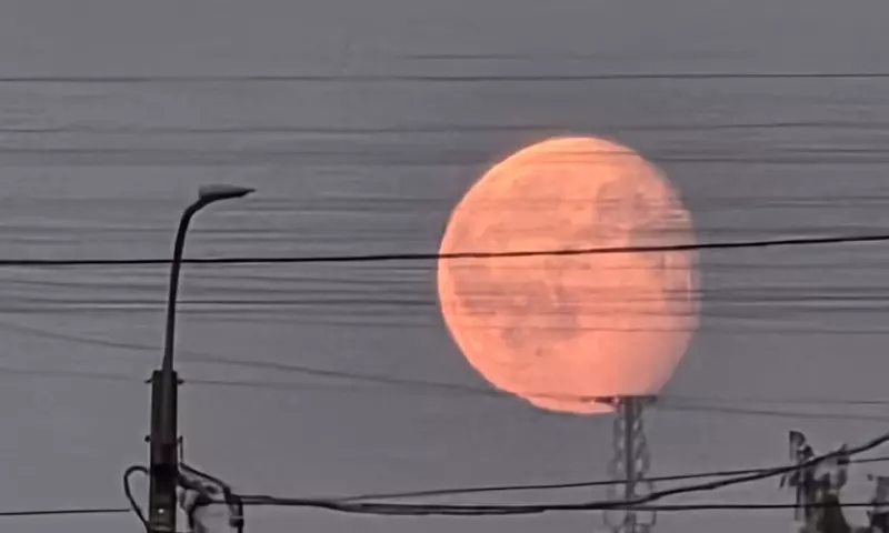 Такое разное небо