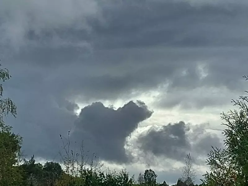 Такое разное небо