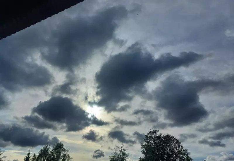 Такое разное небо
