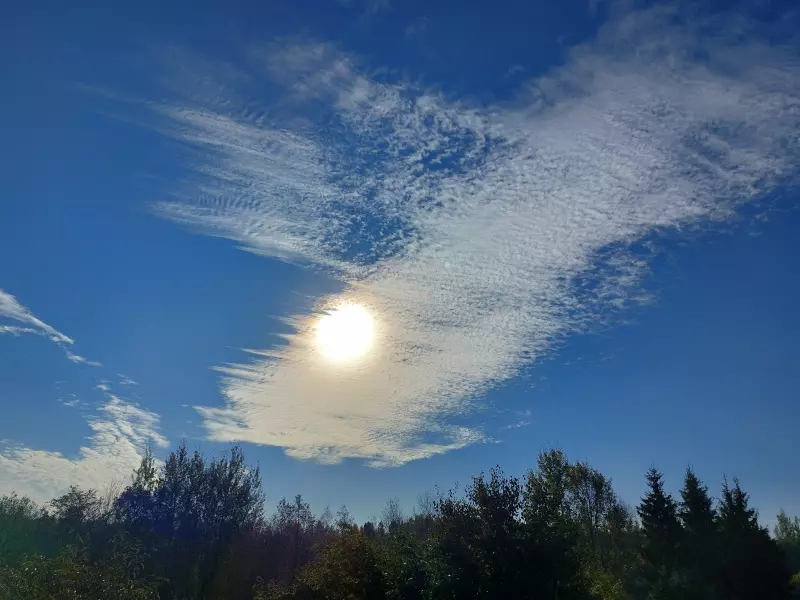Такое разное небо