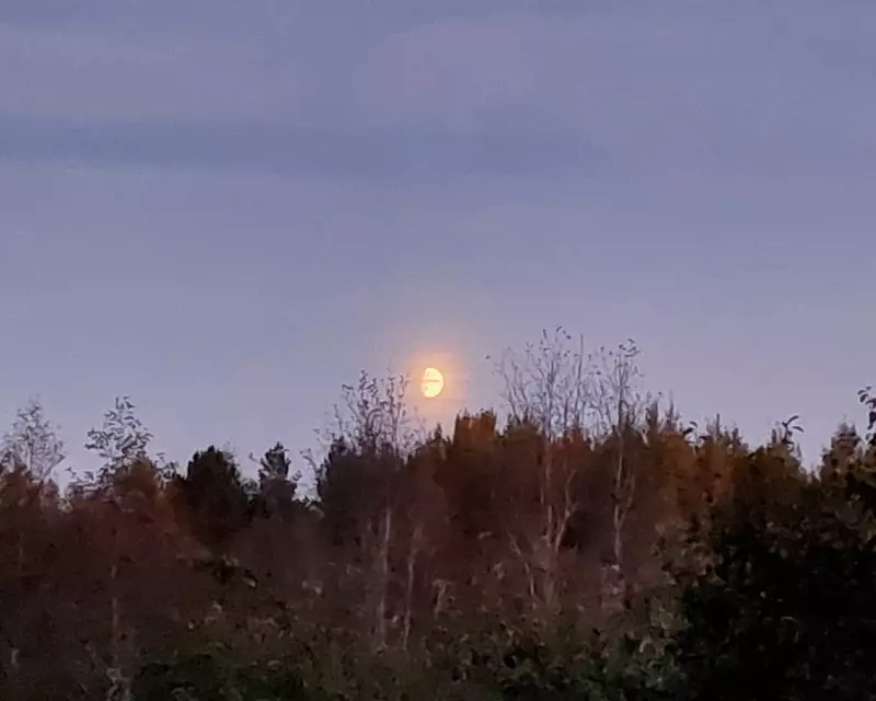 Такое разное небо