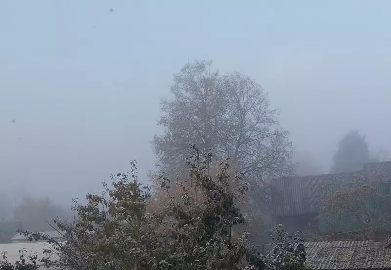 Такое разное небо