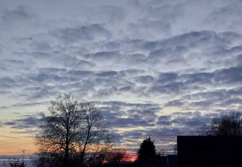 Такое разное небо