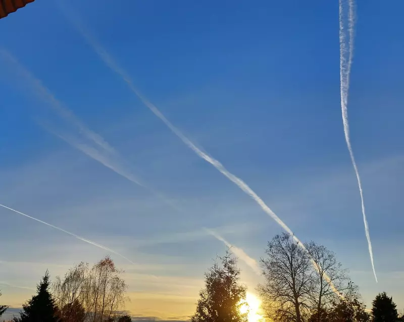 Такое разное небо