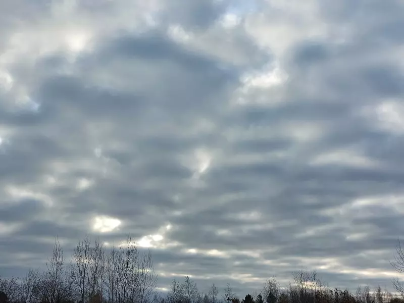 Такое разное небо