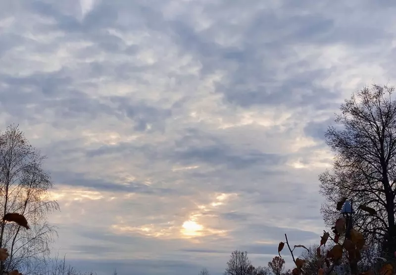 Такое разное небо