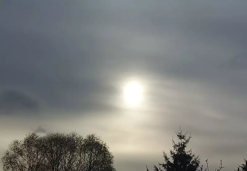 Такое разное небо