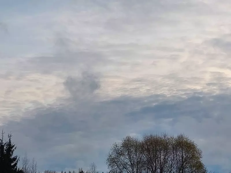 Такое разное небо