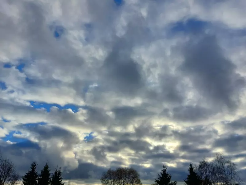 Такое разное небо