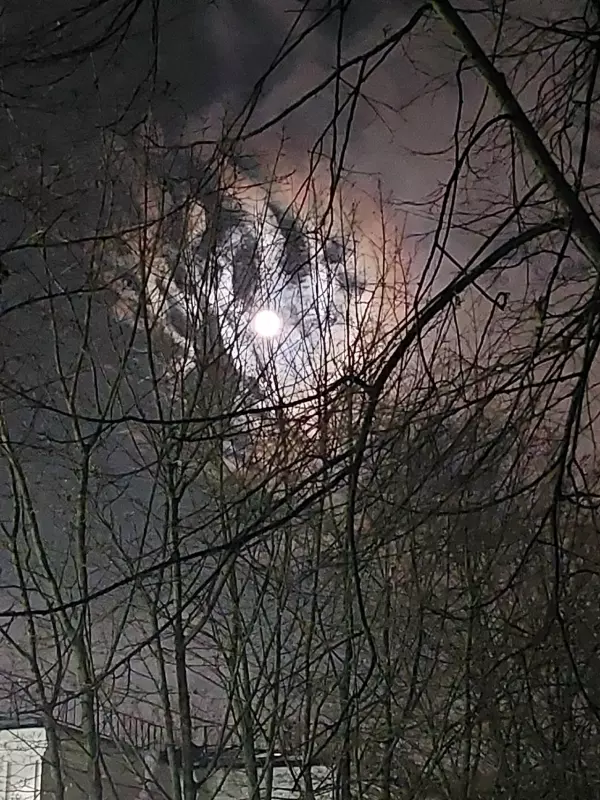 Такое разное небо