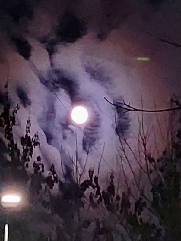 Такое разное небо