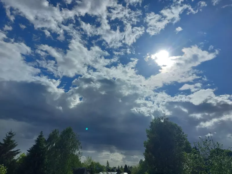 Такое разное небо