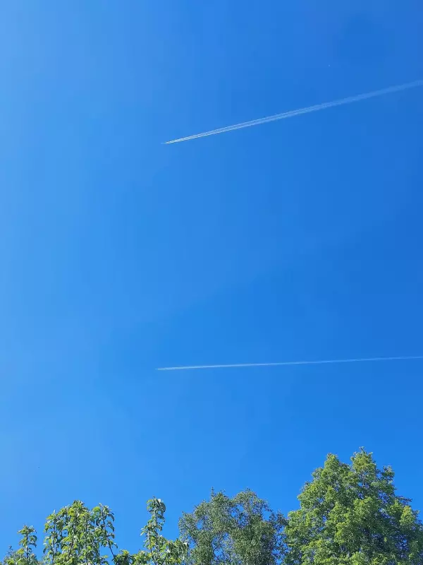 Такое разное небо