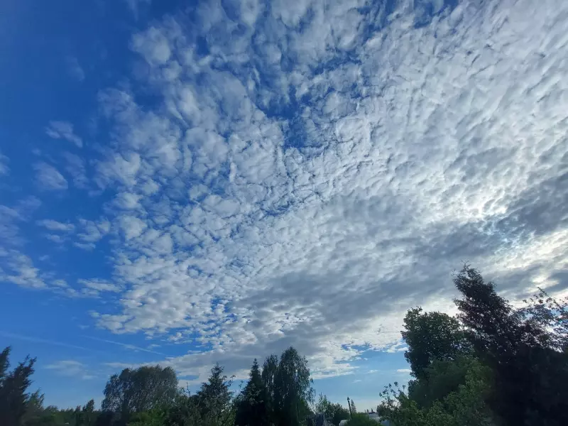 Такое разное небо