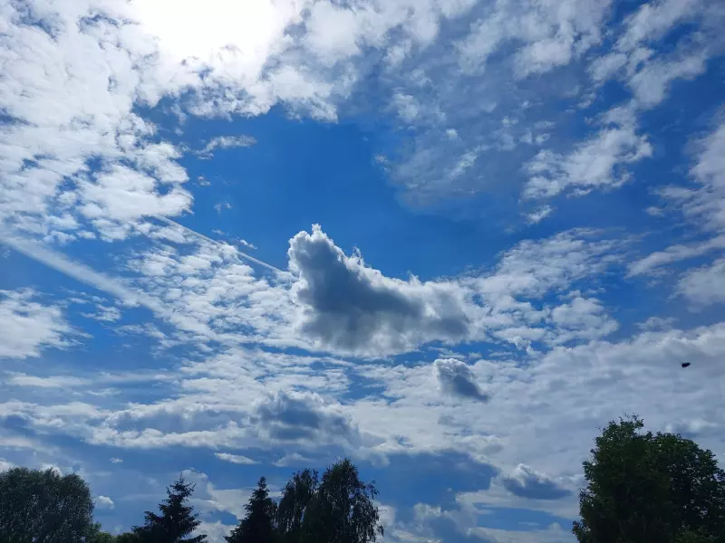 Такое разное небо