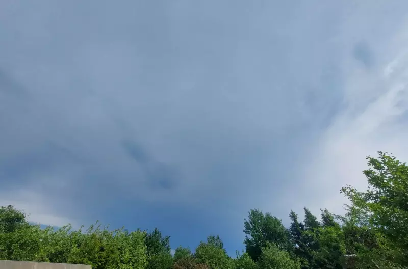 Такое разное небо