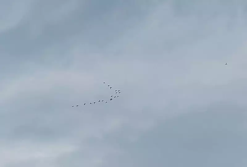 Такое разное небо