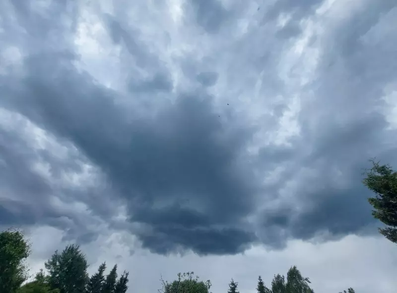 Такое разное небо