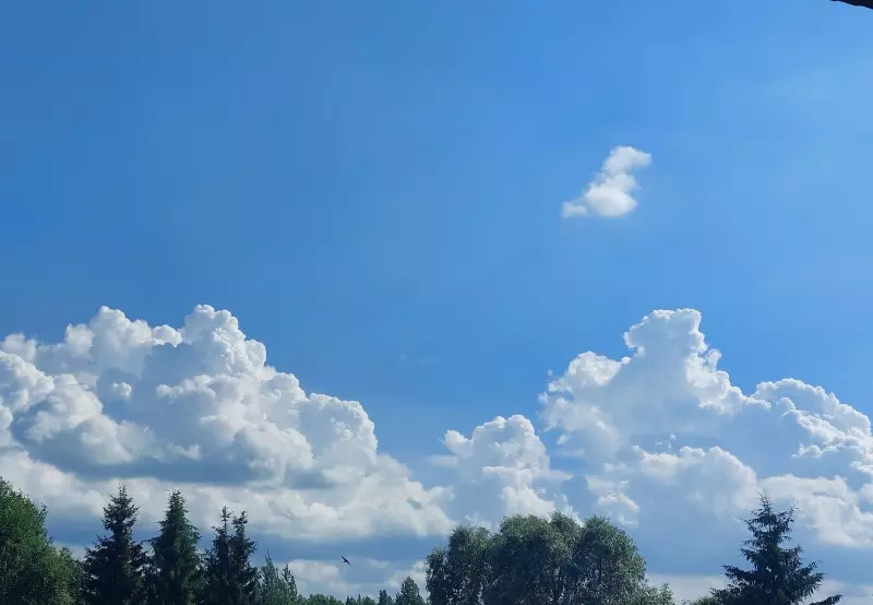 Такое разное небо