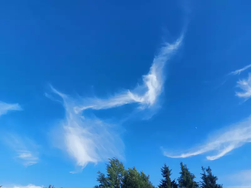 Такое разное небо