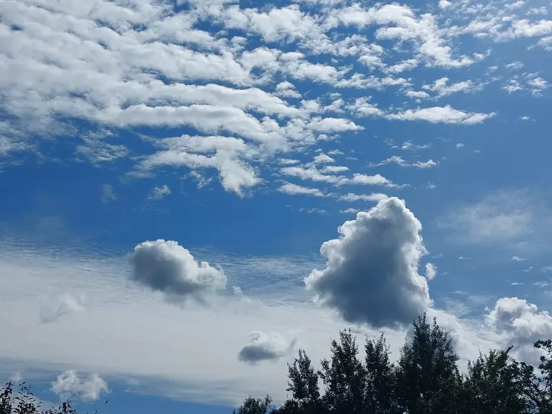 Такое разное небо