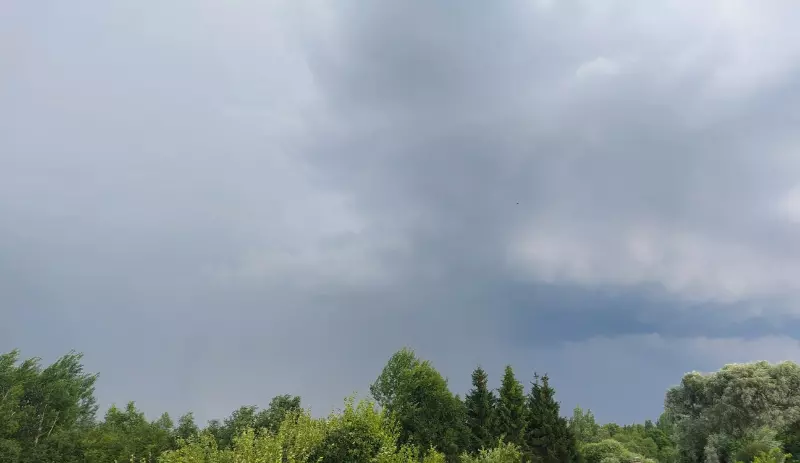 Такое разное небо
