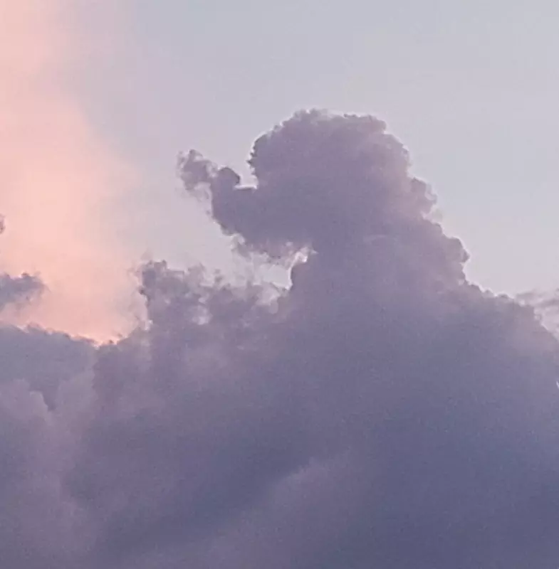 Такое разное небо