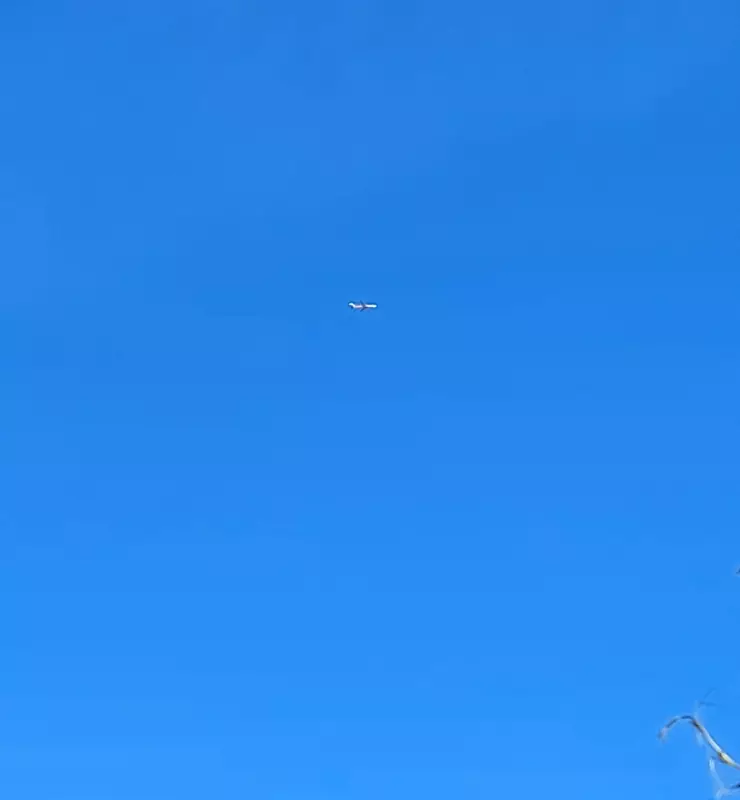Такое разное небо