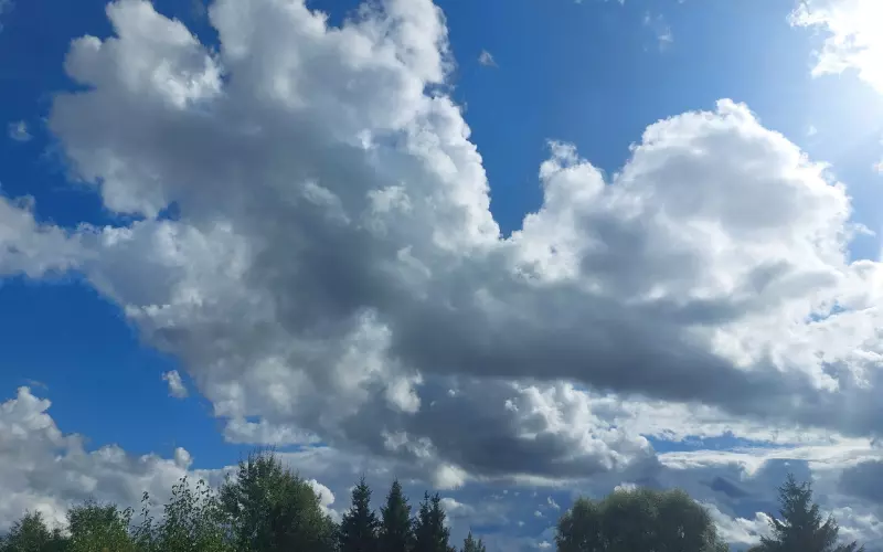 Такое разное небо