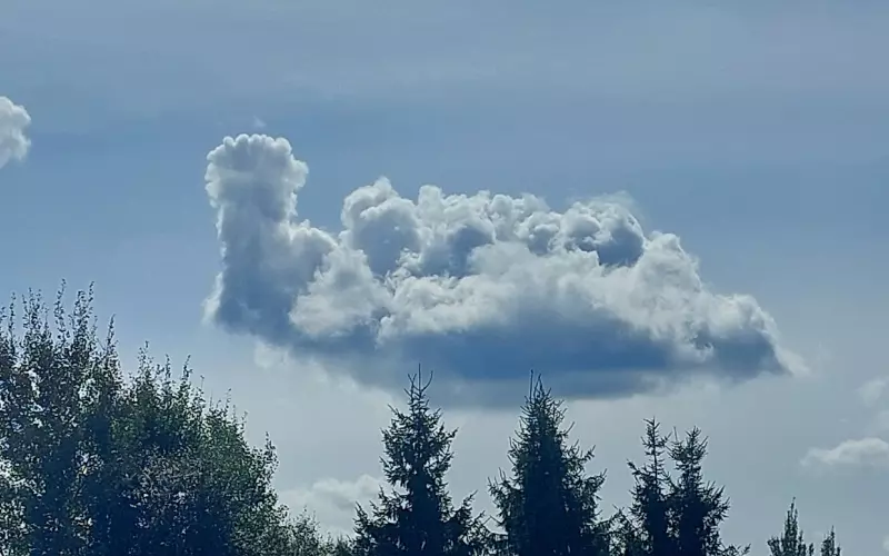 Такое разное небо