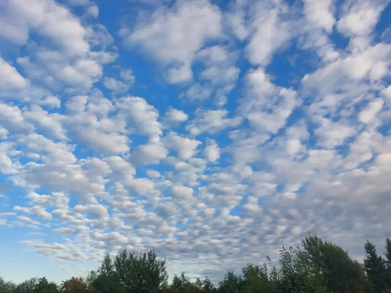 Такое разное небо