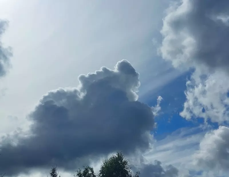 Такое разное небо