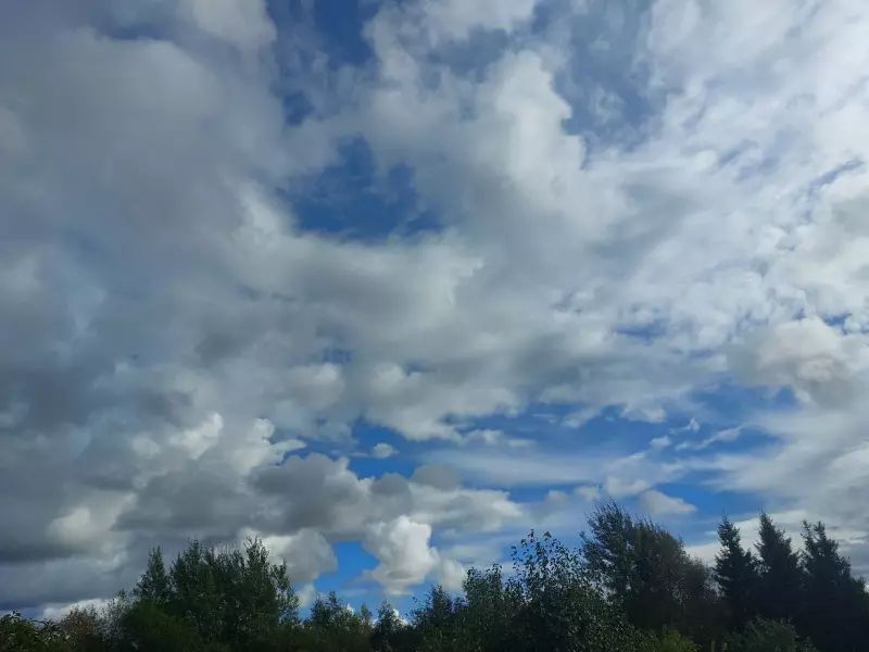 Такое разное небо