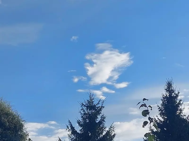 Такое разное небо