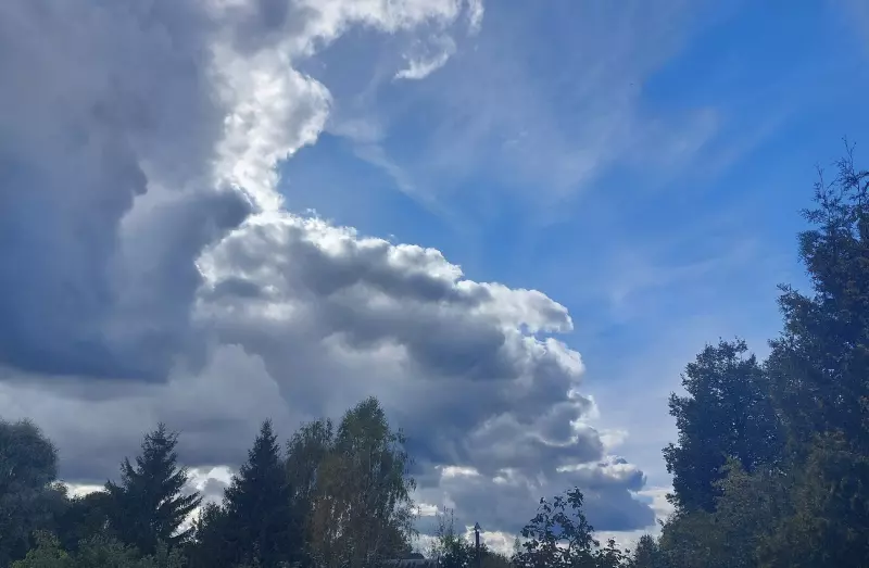 Такое разное небо