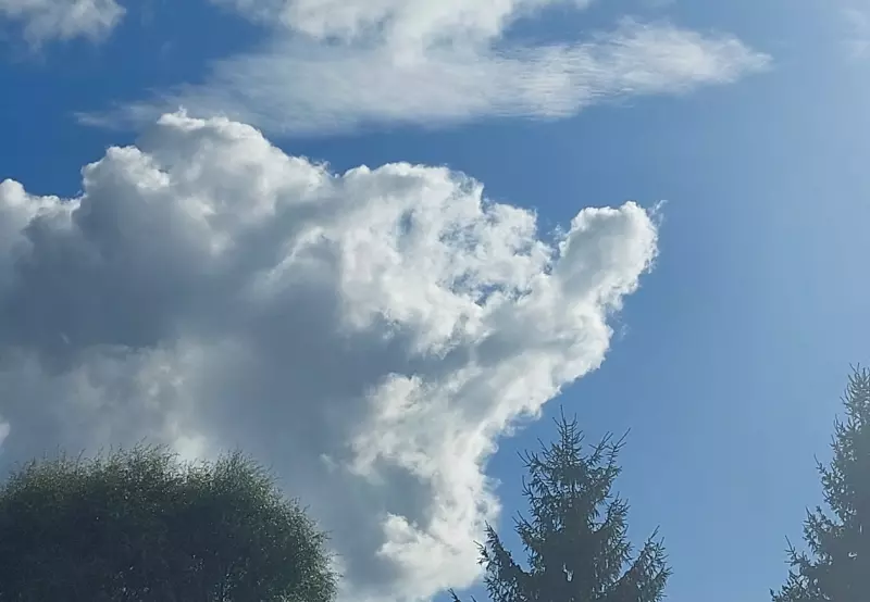 Такое разное небо