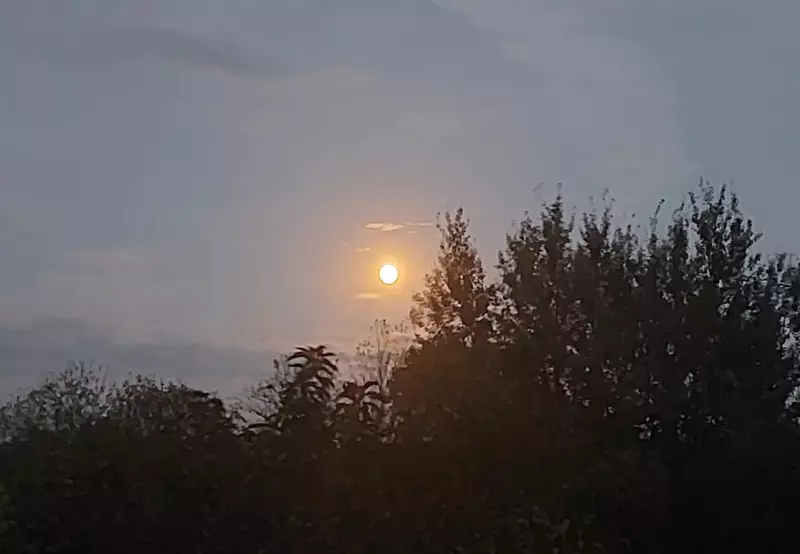 Такое разное небо