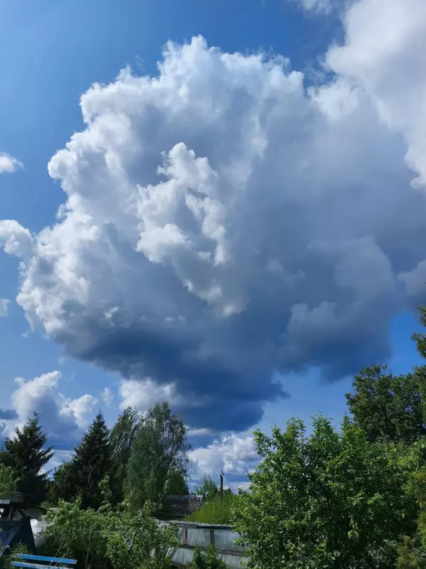 Такое разное небо