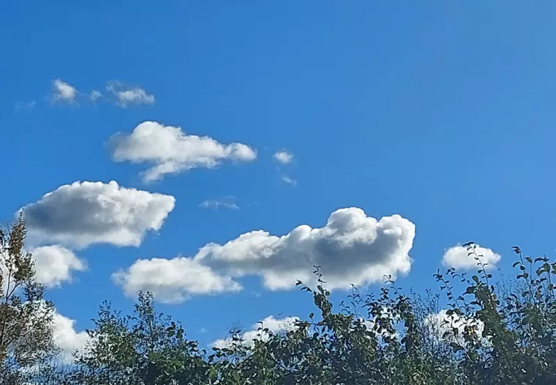 Такое разное небо