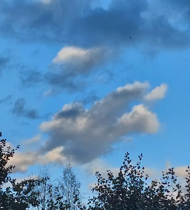 Такое разное небо