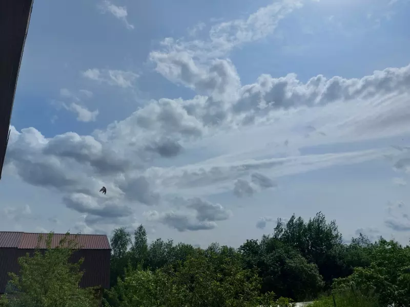 Такое разное небо