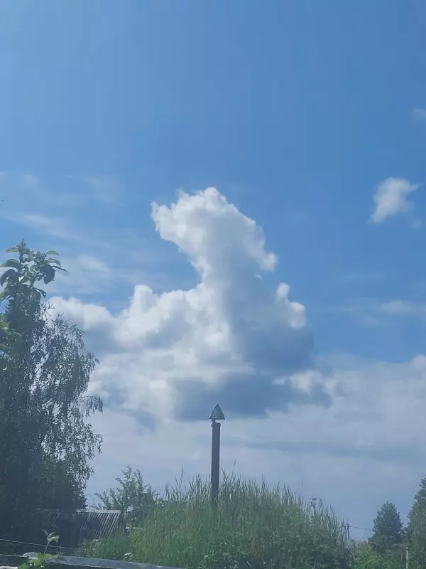 Такое разное небо