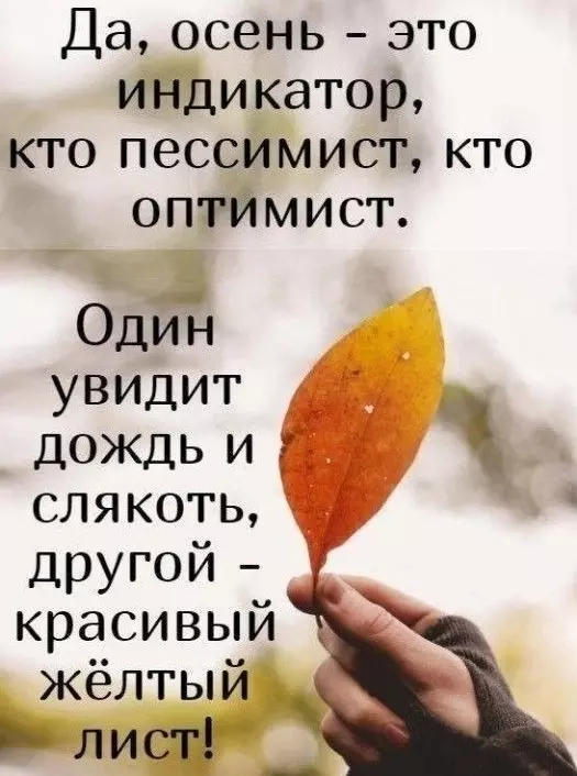 Позитивчик (фото, видео, рассказы для хорошего настроения)