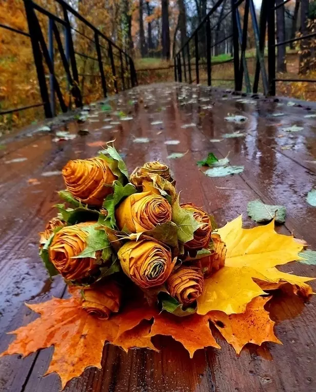 Позитивчик (фото, видео, рассказы для хорошего настроения)