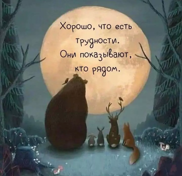 Позитивчик (фото, видео, рассказы для хорошего настроения)